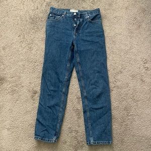 Everlane 90s cheeky jean size 27 regular (medium blue)